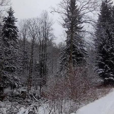 Retro Mozliwosc Wynajecia Calego Budynku Alloggio in famiglia Karpacz