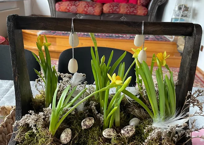 Retro Mozliwosc Wynajecia Calego Budynku *