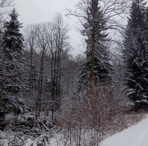 Retro Mozliwosc Wynajecia Calego Budynku Homestay Karpacz