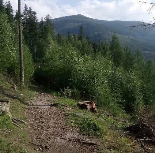 Retro Mozliwosc Wynajecia Calego Budynku * Karpacz